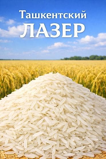 Мёд: Великолепный Ташкентский рис сорта «ЛАЗЕР» Идеально подходит для плова — 1