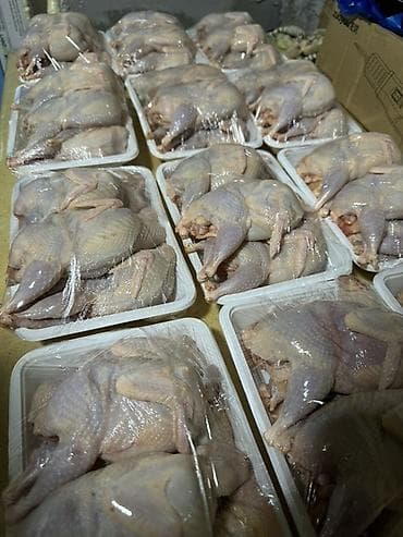 утинная грудка: Требуются женщины на забой птицы от 40лет и выше! Забой каждый — 1