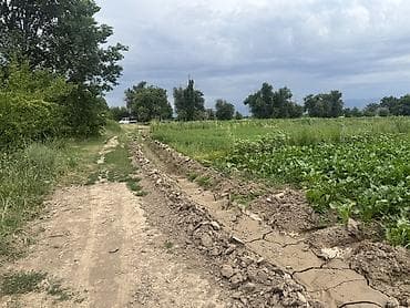 Недвижимость: 420 соток, Для сельского хозяйства — 2