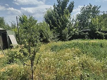 Недвижимость: Продаю дом РАЕН коджомкул (воено антоновка) возможен торг — 9
