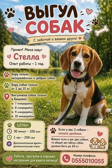 кара кон: 🕐 С 8:30 до 9:30 мини скидка(зависит от собаки)☺️ 🕗 С 8:00 до 17:00 — 1