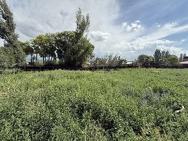 цены на недвижимость бишкек: Farm КРС, 12 соток, Не действующий, Частично с оборудованием, Без коммуникаций — 6