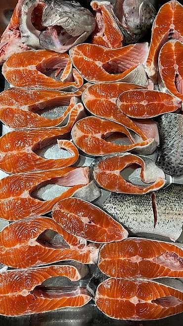 облепиховые свечи цена бишкек: Только оптовая продажа! Форель (радужная) – охлаждённая цельная рыба — 2