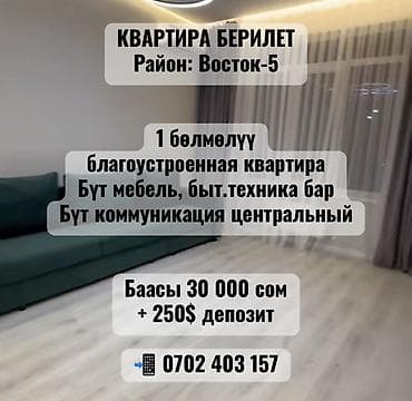 1 комната, С мебелью полностью
