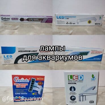 аквариумная рыбка: Лампы для аквариумов. 
Разные виды, цены — 1
