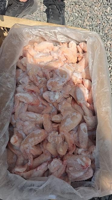 Крыло цыплёнка-бройлера, халяль, глубокой заморозки. - Производитель at lalafo.kg Крыло цыплёнка-бройлера, халяль, глубокой заморозки. - Производитель