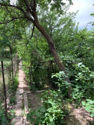 продаю дом село джал бишкеке: Дом, 50 м², 4 комнаты, Собственник — 6