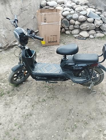 электроскутер панда: Электроскутер Panda, черный цвет. Особенности и оснащение: - — 4