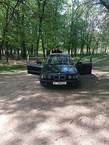 Унаа сатуу: BMW 5 series: 1995 г., Бензин, Седан — 3