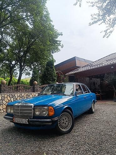 купить дизельный mercedes: Mercedes-Benz W123: 1983 г., 3 л, Механика, Дизель, Седан — 1