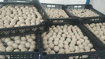 Натуральные молочные продукты сузма творог каймак айран домашний козье