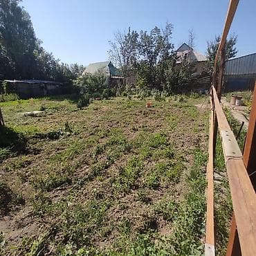 ысык куле: 5 соток, Курулуш, Кызыл китеп — 3