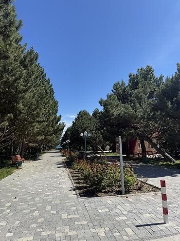 квартирв: 3 комнаты, 200 м², Евроремонт — 7