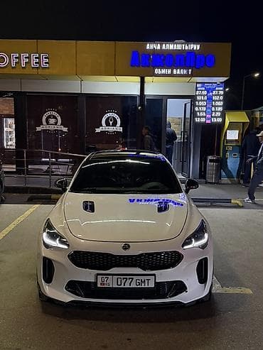 подсветки для машины: Kia Stinger: 2017 г., 3.3 л, Автомат, Бензин, Лифтбек — 7