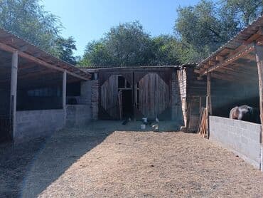 дом путивль: Дом, 50 м², 3 комнаты, Собственник, Старый ремонт — 7