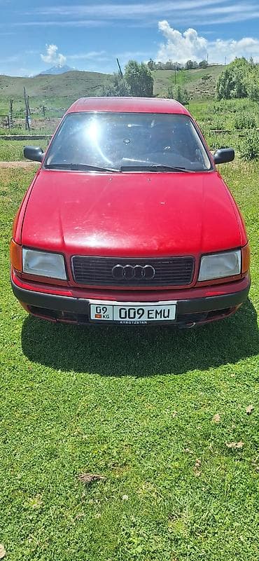 Audi 100: 1991 г., 2.3 л, Механика, Бензин, Седан — 4