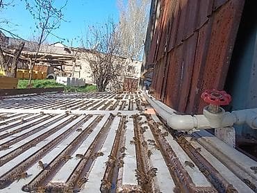 пчелинный: Приём заказов на маточники и неплодых маток на,, Апрель-Май,, — 4