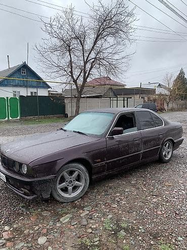 bew e34: BMW 5 series: 1991 г., 2.5 л, Механика, Бензин, Седан — 4