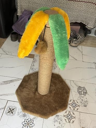трава для кошек: Когтеточка для кошек “Пальма” 🌴🐱 Продается когтеточка в хорошем — 4