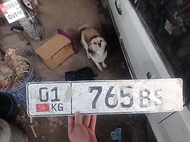 Номерной знак Киргизской Республики (KG), регион 01, комбинация 765 at lalafo.kg Номерной знак Киргизской Республики (KG), регион 01, комбинация 765