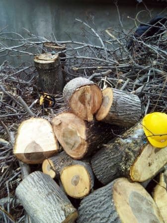 слом дома и вывоз мусора цена: Пилю деревья, дрова, корчевание пней, кустарников, расчистка — 8