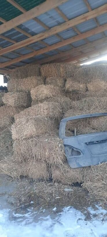 корова дойный: Сено в тюках

- — 3