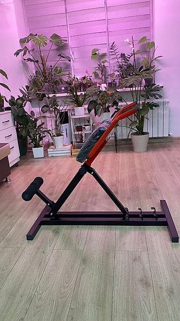 разгибание ног: Силовой тренажер, Гиперэкстензия, Для спины — 4