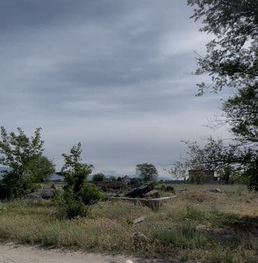 дома в арашане: 15 соток, Для бизнеса, Красная книга — 3