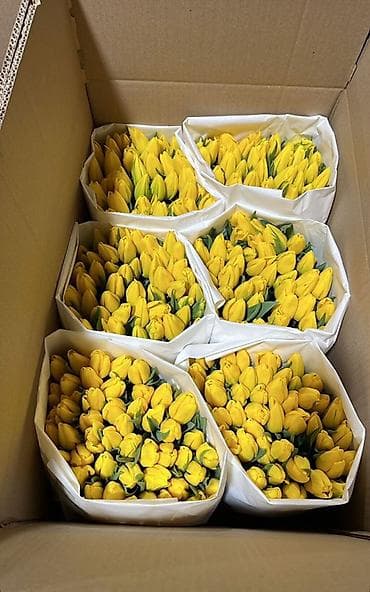 детские парта: Тюльпаны оптом и в розницу Оптом 80сом В розницу 90сом Вотцап - — 3