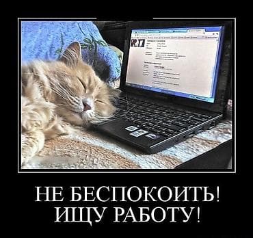 Ищу работу!!!!! • мне 15•живу в Канте•добрая и ответственная•быстро at lalafo.kg Ищу работу!!!!! • мне 15•живу в Канте•добрая и ответственная•быстро