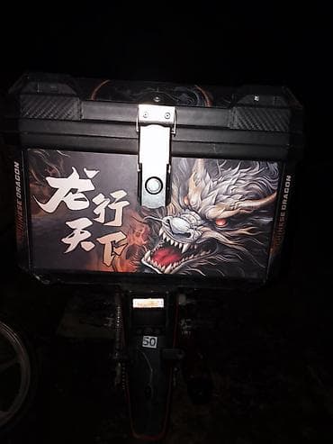 golv 3: Мотокофр/бокс для мотоцикла с принтом «Chinese Dragon» өтө жакшы — 2