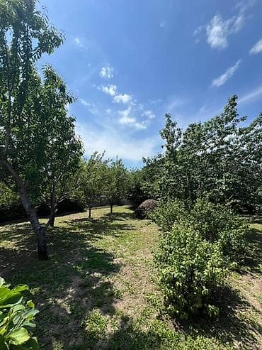 open space: 6 соток, Для строительства, Красная книга, Тех паспорт — 2