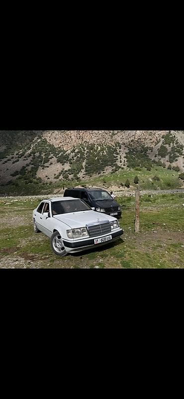 Унаа: Mercedes-Benz W124: 1991 г., Седан — 4