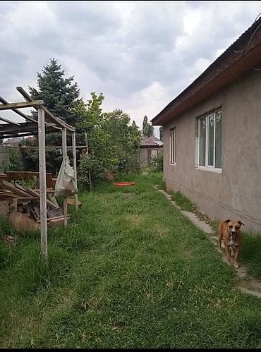 Дома: 🏡 Сдаю дом с мебелью и бытовой техникой. В доме есть: мебель; бытовая — 1