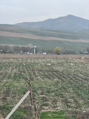 продаю участок воено антановка: 80 соток, Для сельского хозяйства — 10