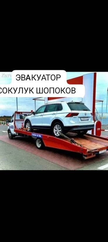 продаю или меняю на недвижимость: С лебедкой — 1