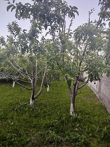 аренда частного дом: Продается дом в Воронцовке! Чистый горный воздух. Участок соток — 6