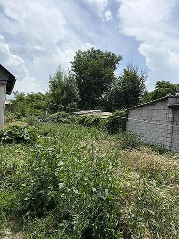 маткасымов завод фото: Жилой дом с участком - Отдельностоящий дом на участке с озеленением и — 1