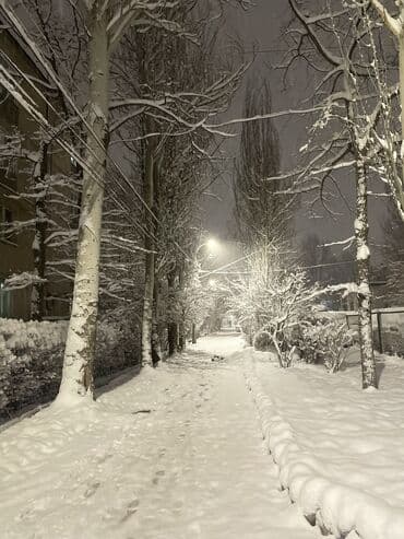 пухавик: Продается новая Утеплённая женская короткая пуховая куртка с меховым — 3