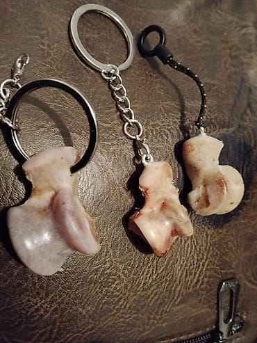 секонд обувь: Брелоки-талисманыиз Волчих зубов коктей,,и альчикоа Состав и — 6