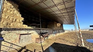 дом в ик: Боло мал бакканга семейный малчы керек. Уй жайып, сааш керек. Жалпы — 6