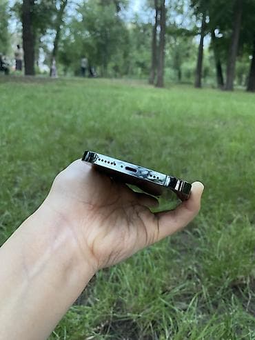 айфон про мах: IPhone 13 Pro Max, 256 ГБ, Alpine Green, 86 % — 6