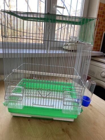 приют для животных бишкек телефон: Цена окончательная!!! Продаю новую большую клетку для попугаев — 2