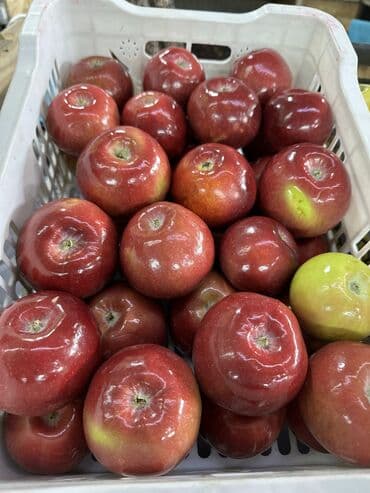 Яблоки Голден, Оптом at lalafo.kg Яблоки Голден, Оптом