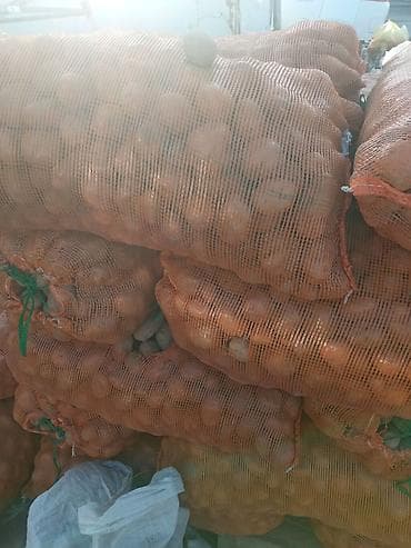 Жашылчалар: Картошка — 3