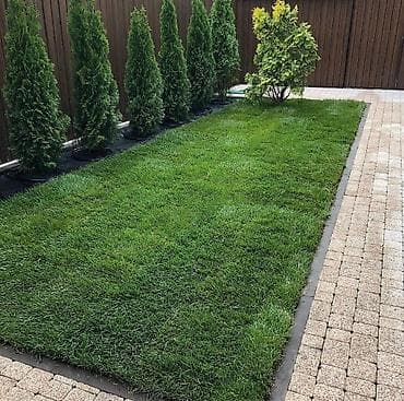 all group: 🌿 Сеем газон 🌿 Озеленение территории 🌿 Ландшафтный дизайн 🌿 — 1