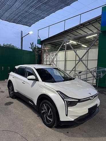 нетта л: BYD : 2022 г., 0.1 л, Автомат, Электромобиль, Кроссовер — 1