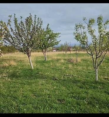 5 соток, Для строительства, Договор купли-продажи at lalafo.kg 5 соток, Для строительства, Договор купли-продажи