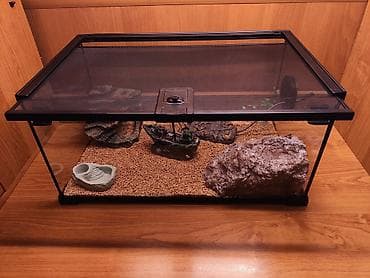 террариум: Террариум для гекконов, сцинков и других ящериц, полностью — 3