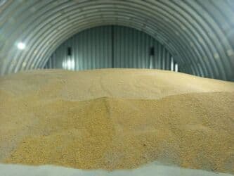 цена пшеницы в бишкеке 2022: Продаю кукурузу в мешках склад в районе 5-ГЭС. Цена по 23 сом кг со — 2